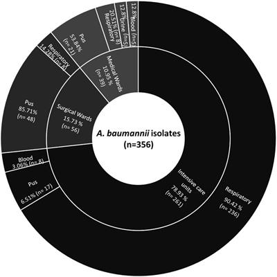 Susceptibility profile of blaOXA-23 and metallo-β-lactamases co-harbouring isolates of carbapenem resistant Acinetobacter baumannii (CRAB) against standard drugs and combinations